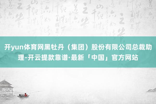 开yun体育网黑牡丹（集团）股份有限公司总裁助理-开云提款靠谱·最新「中国」官方网站